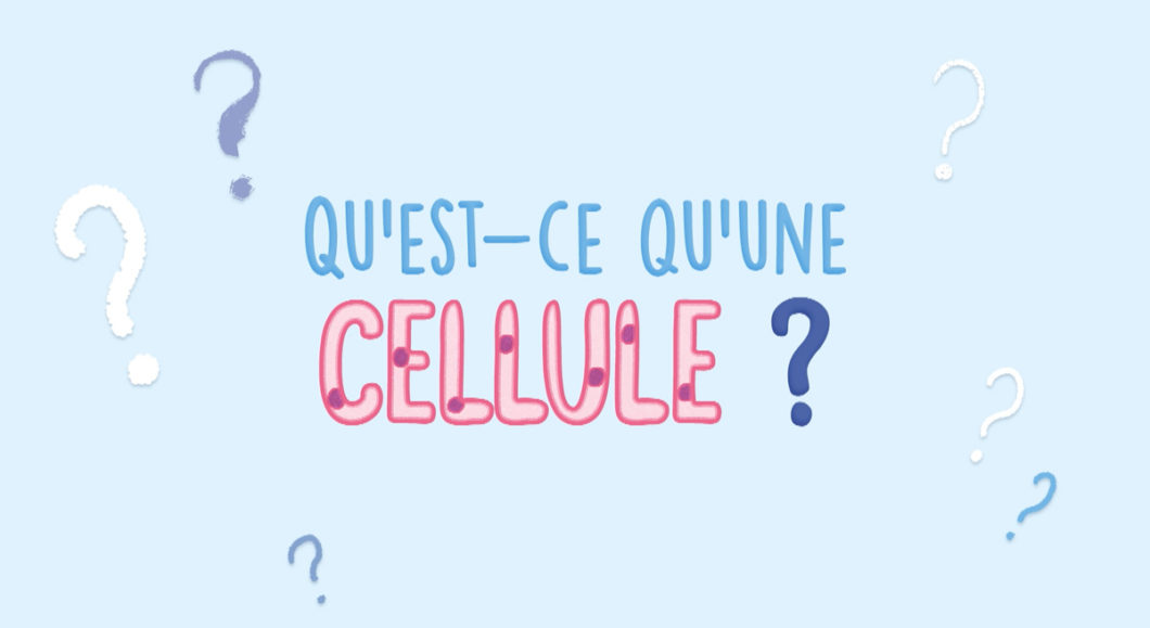 C'est quoi une cellule