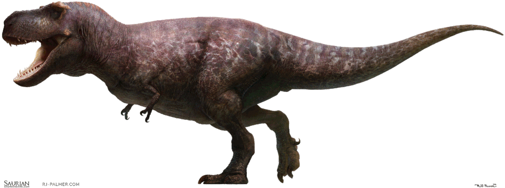 Saurian - RJ-palmer.com