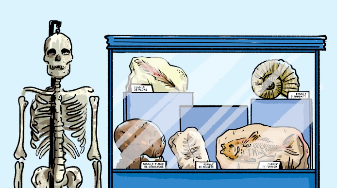 C'est quoi, un fossile ?