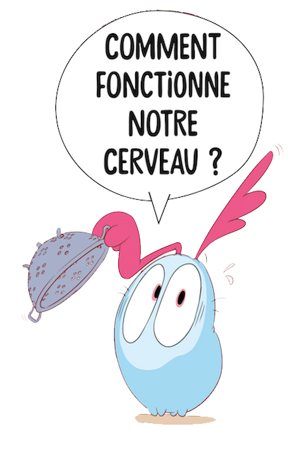 Comment fonctionne notre cerveau ?
