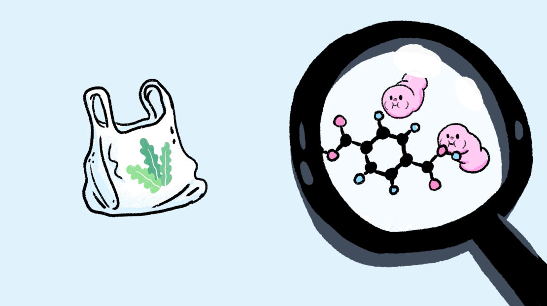 Des scientifiques ont mis au point des plastiques plus écologiques, à base de déchets végétaux ou d'algues.