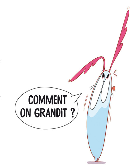 Comment on grandit ? Curio