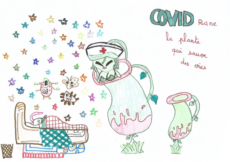 Curio-galerie
