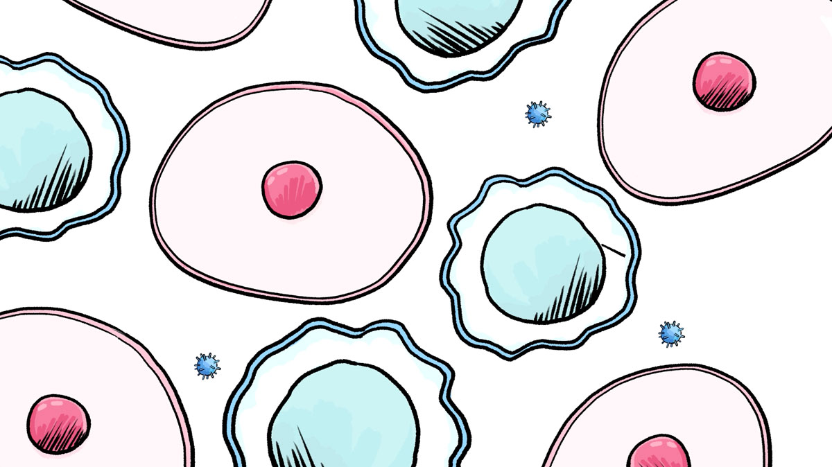 Comment agissent les virus ?