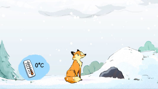 Comment se forment les flocons de neige ?