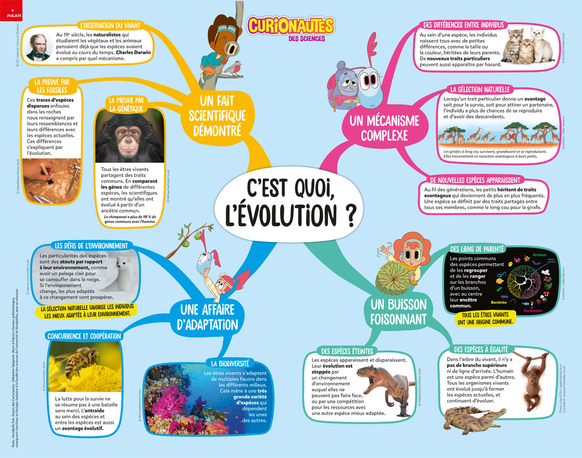Poster_evolution