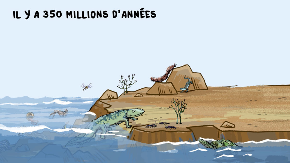 Comment les animaux sont apparus sur terre ?