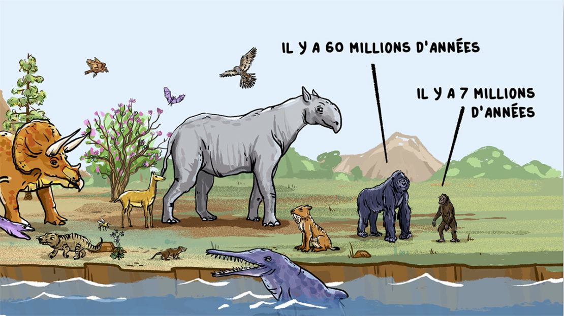 Comment les animaux sont apparus sur terre ?