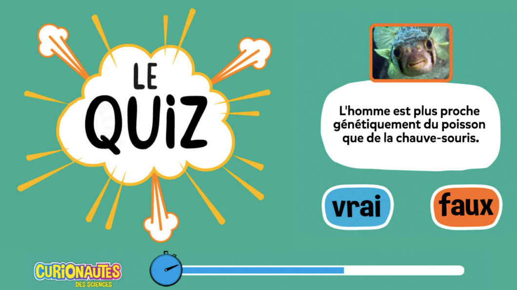 Quiz Curio : Teste tes connaissances sur l'évolution