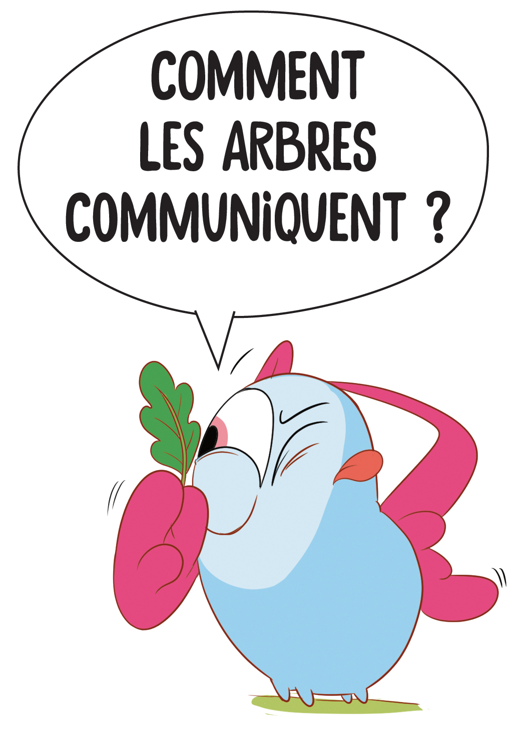 Curio_feuille