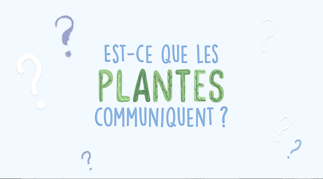 Est-ce que les plantes communiquent ?