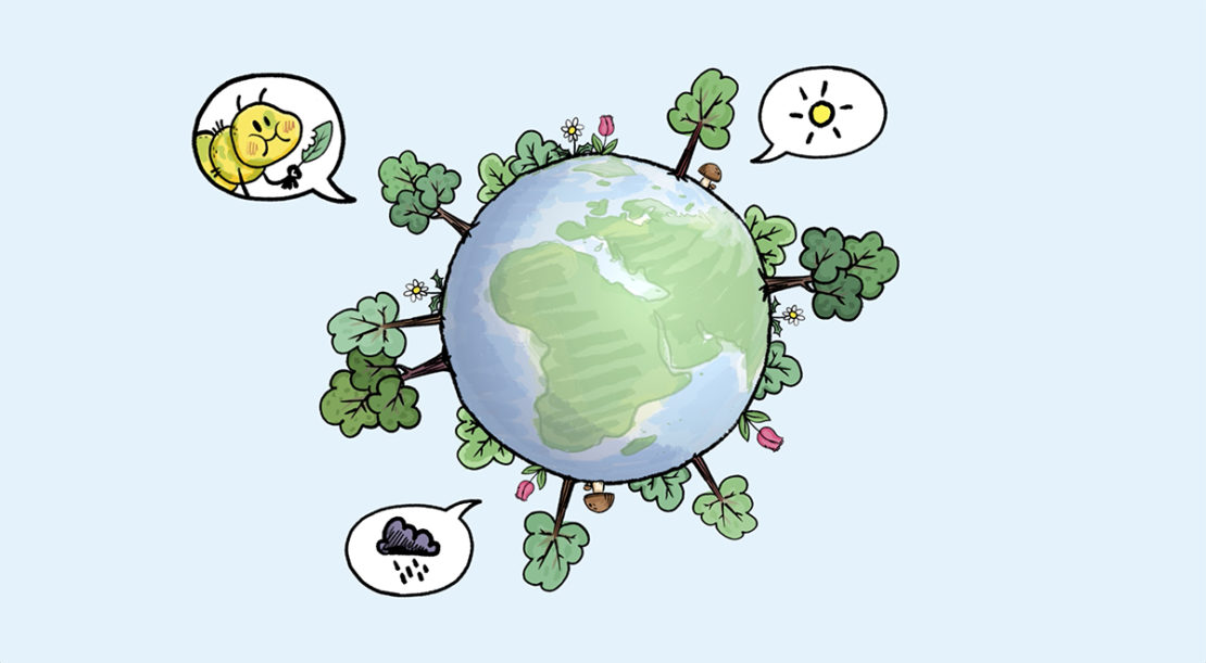 Est-ce que les plantes communiquent ?
