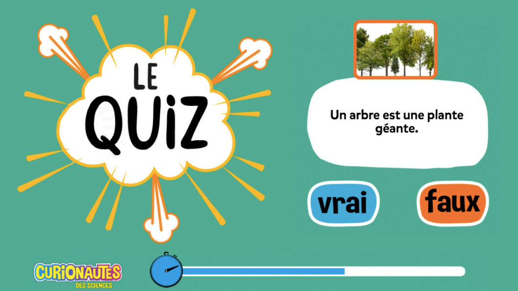 Quiz Curio : Teste tes connaissances sur les arbres