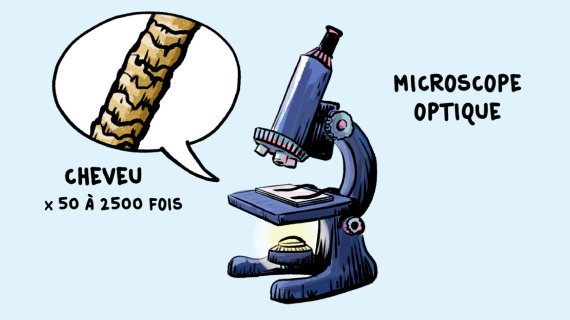 MICROSCOPE