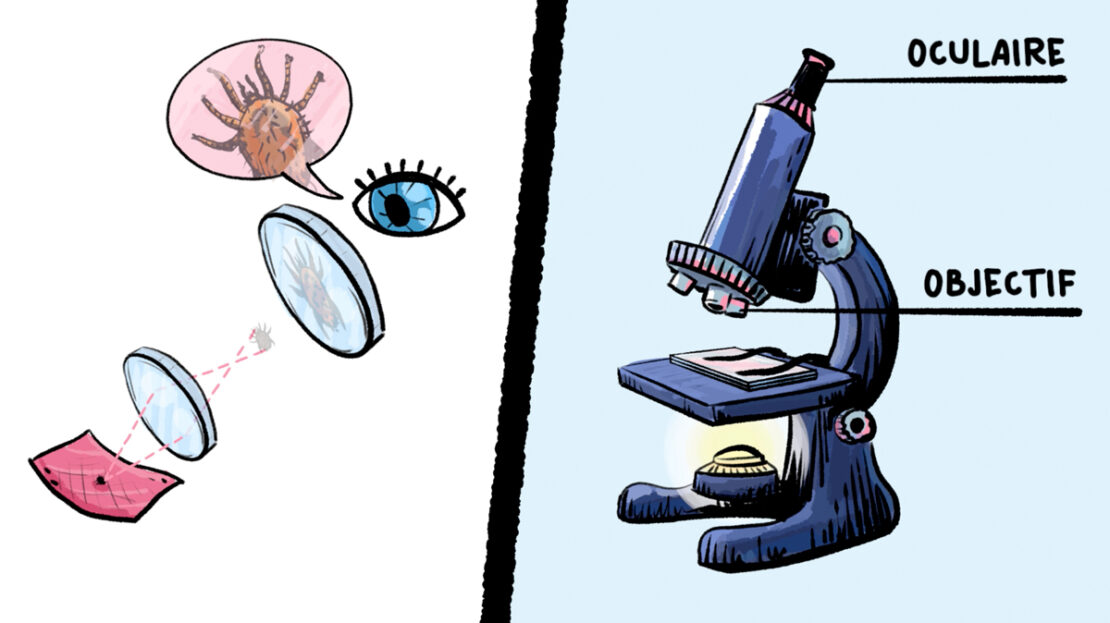 MICROSCOPE