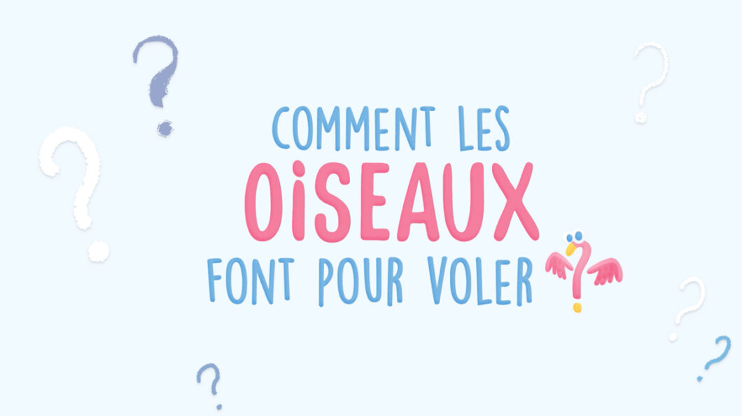 OISEAU