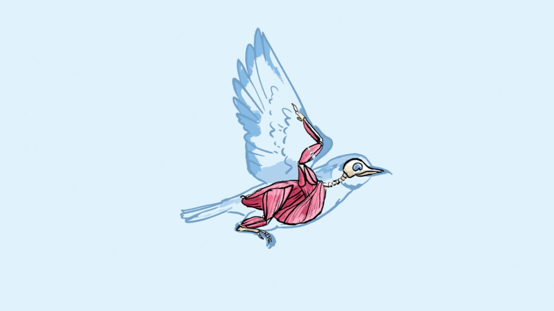 OISEAU