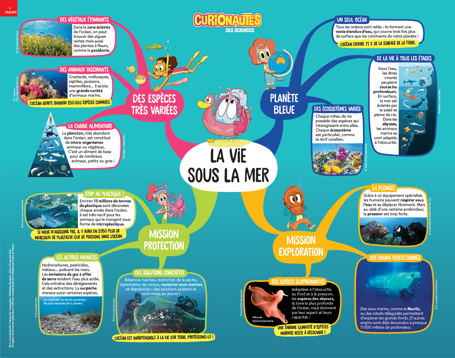 Carte mentale vie sous la mer