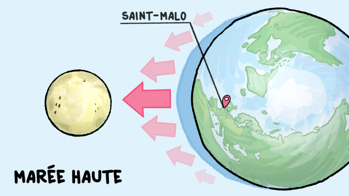 Marée haute ou marée basse : tu as sûrement déjà remarqué que l’océan monte et descend de plusieurs mètres. Avec Curio, Noura va t’expliquer les forces qui provoquent ce mouvement de va-et-vient de la mer.