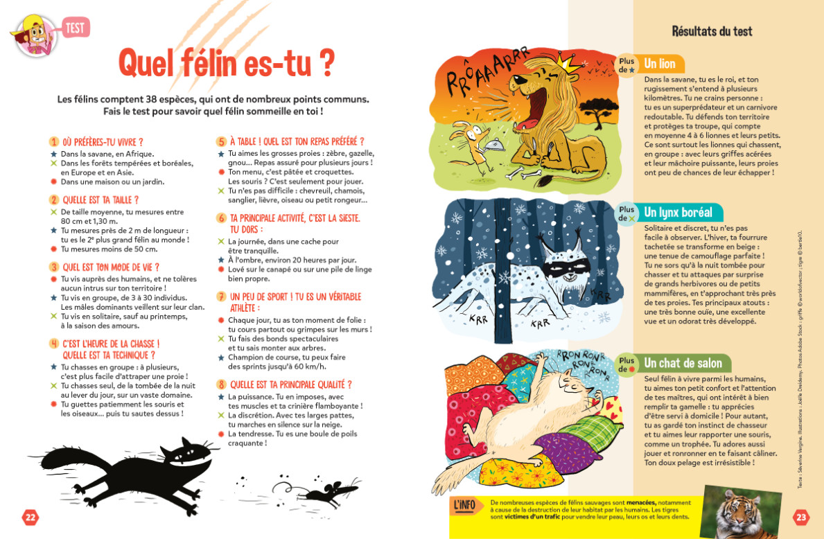 Test félins