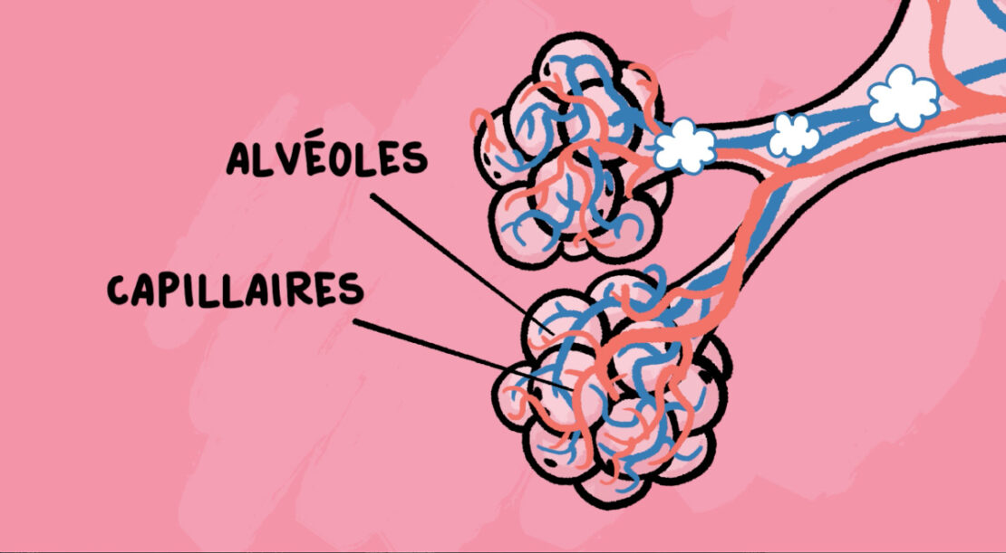 RESPIRATION