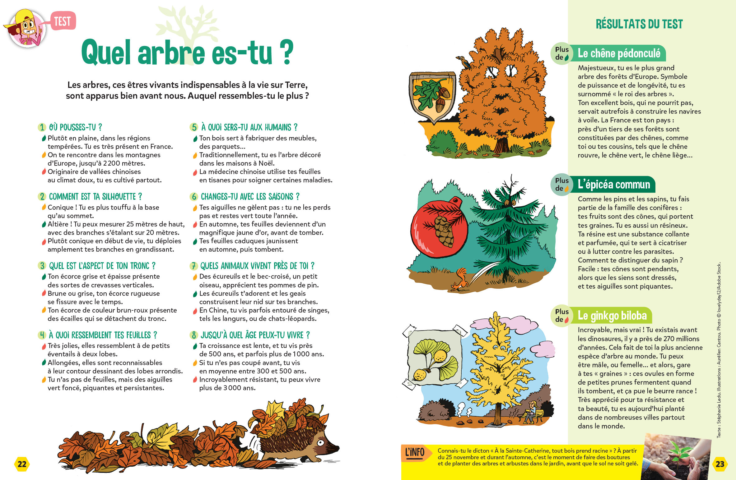 Test arbre