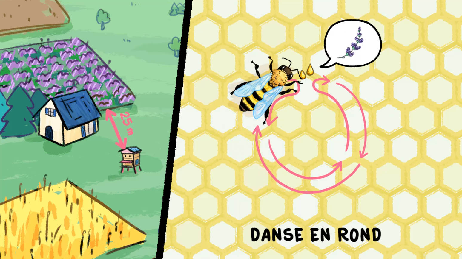 Comment les abeilles communiquent ? Comment les abeilles communiquent