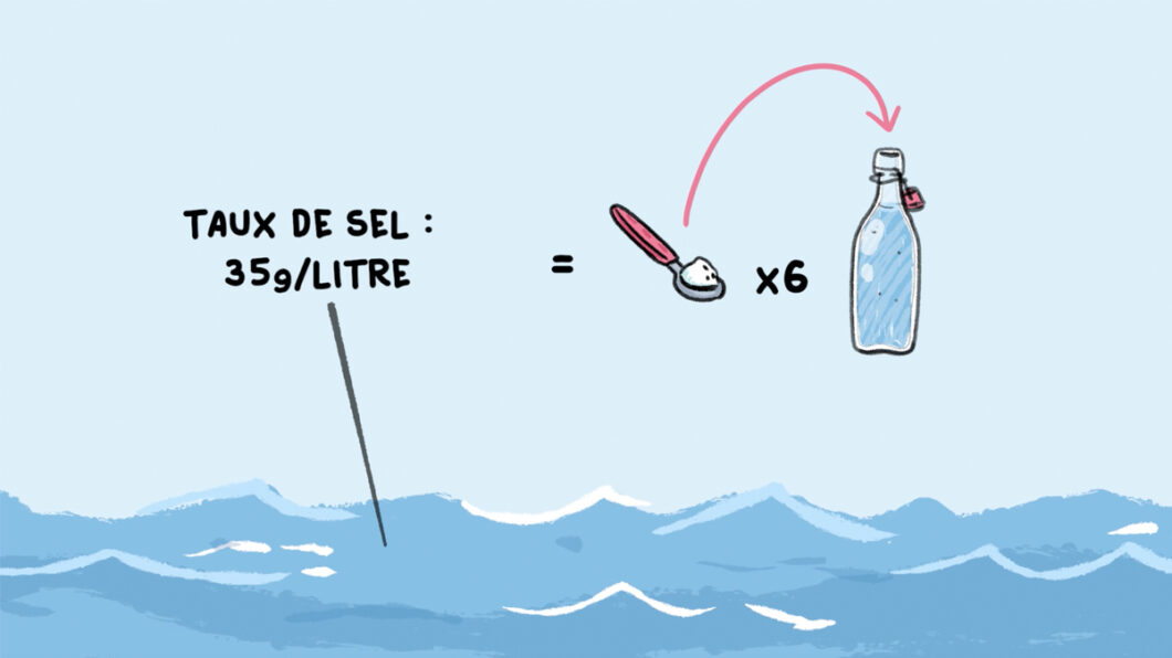Pourquoi la mer est salée ? - % Pourquoi la mer est salée