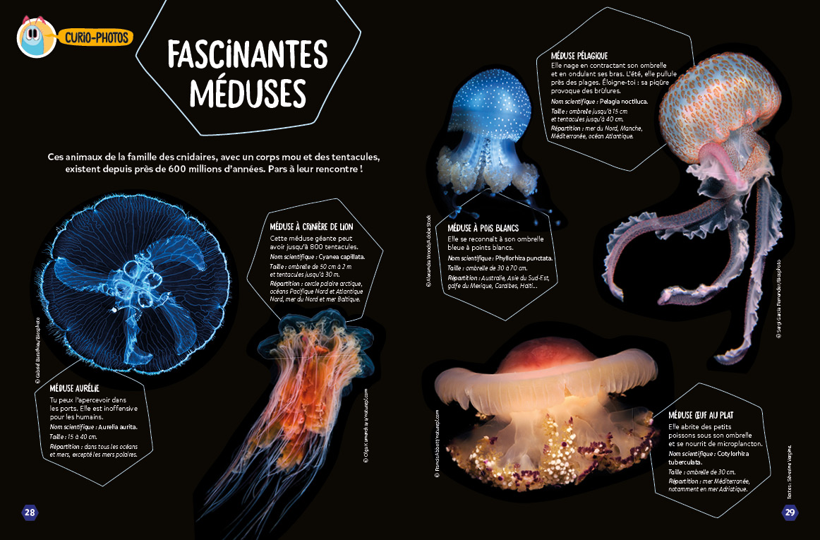 8_CUR40_CURIO-PHOTOS_meduses_web
