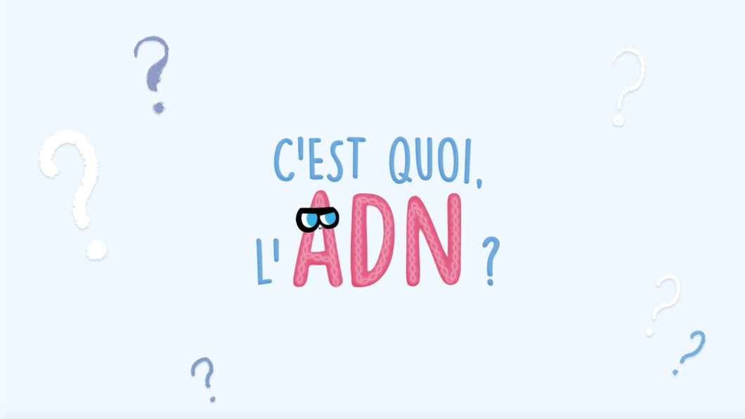 ADN, acide désoxyribonucléique